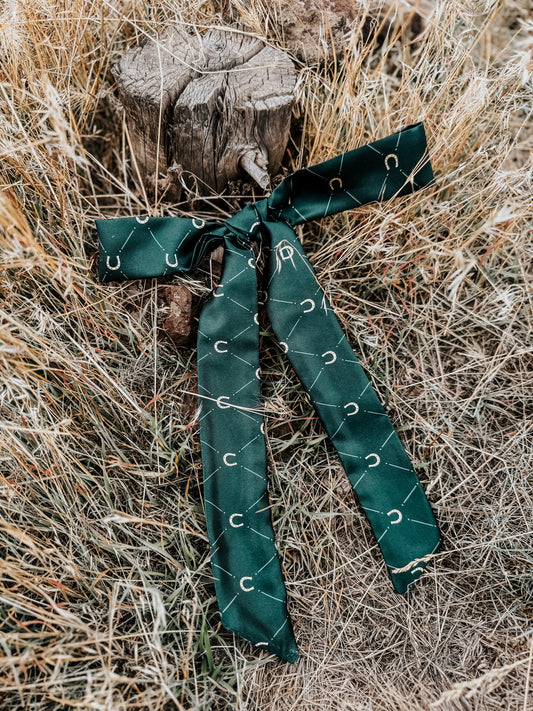 Gold horseshoe tie
