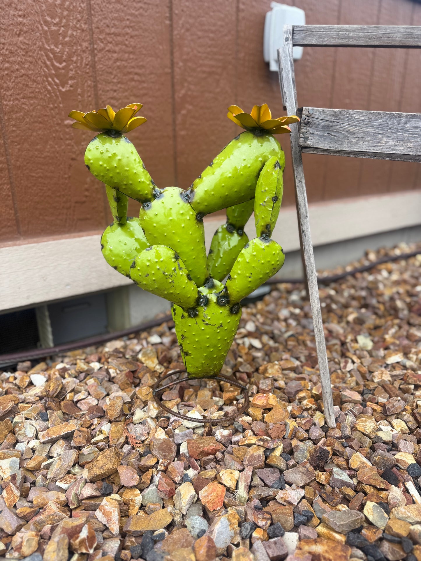 Prickly Pear
