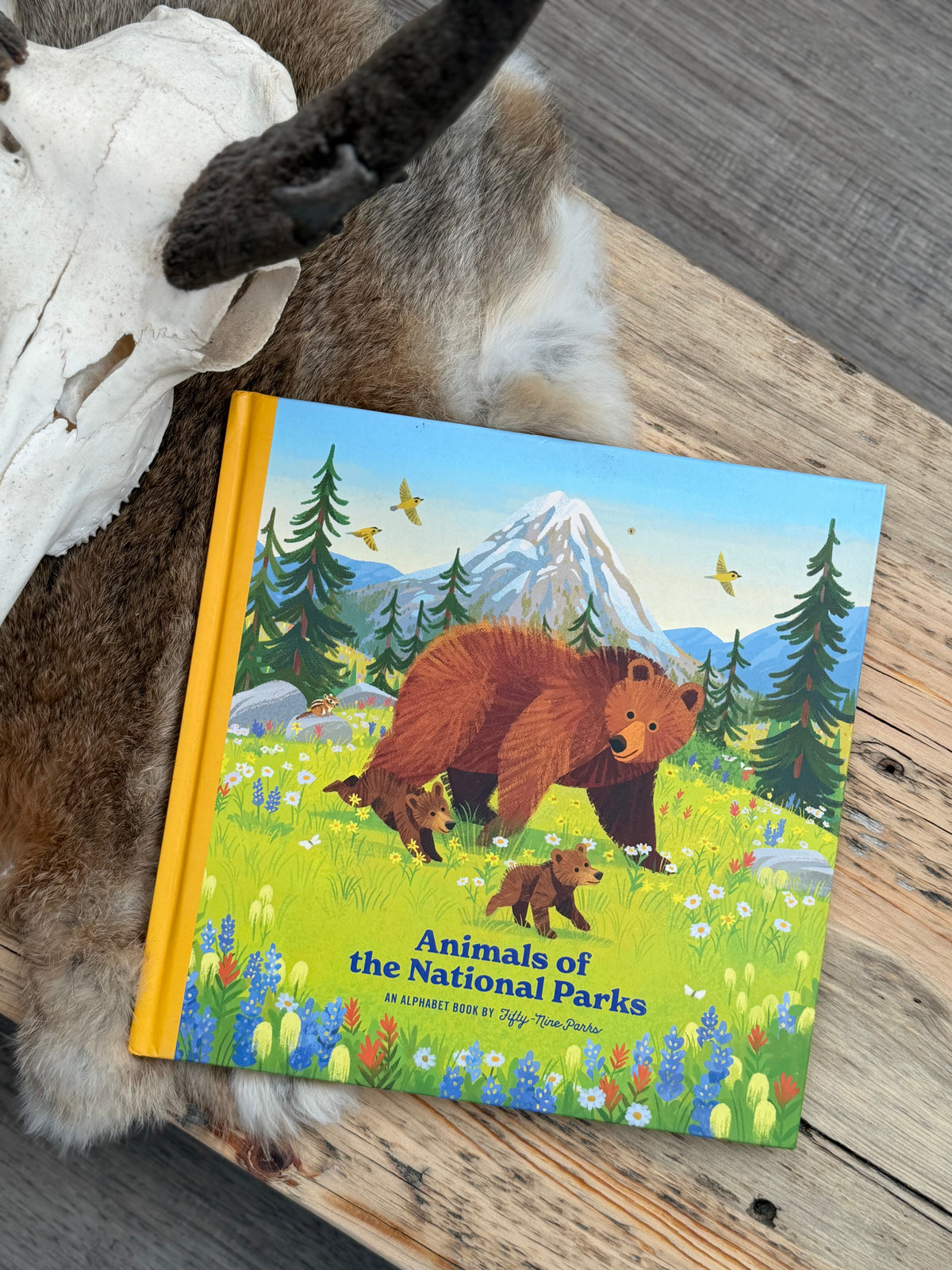 Animals of National Parks