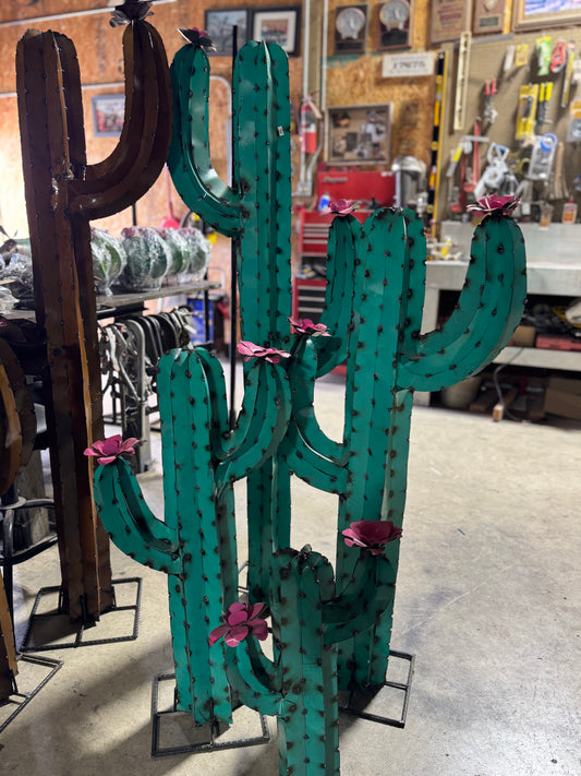 Turquoise cactus