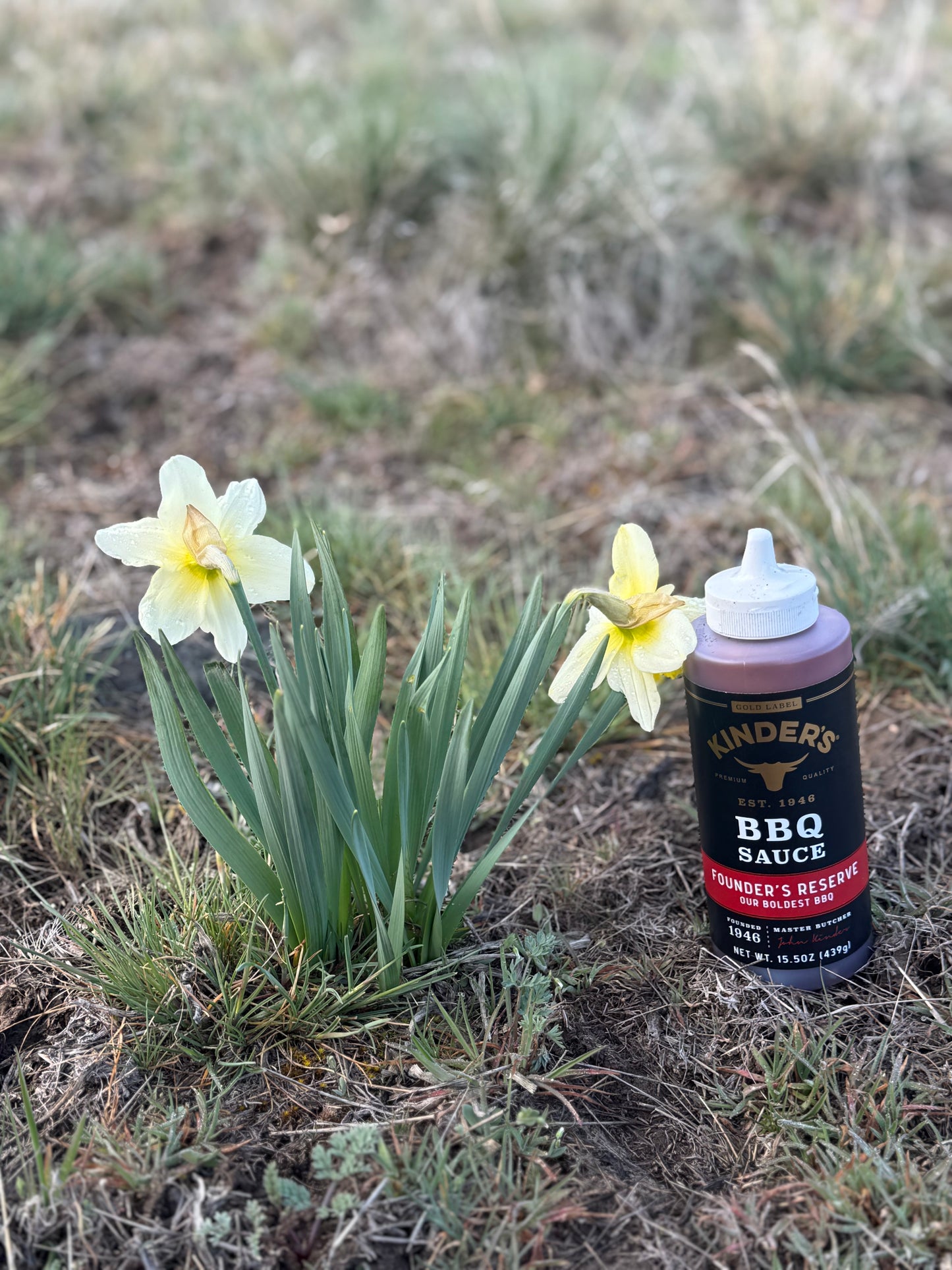 Founders Reserve BBQ Sauce
