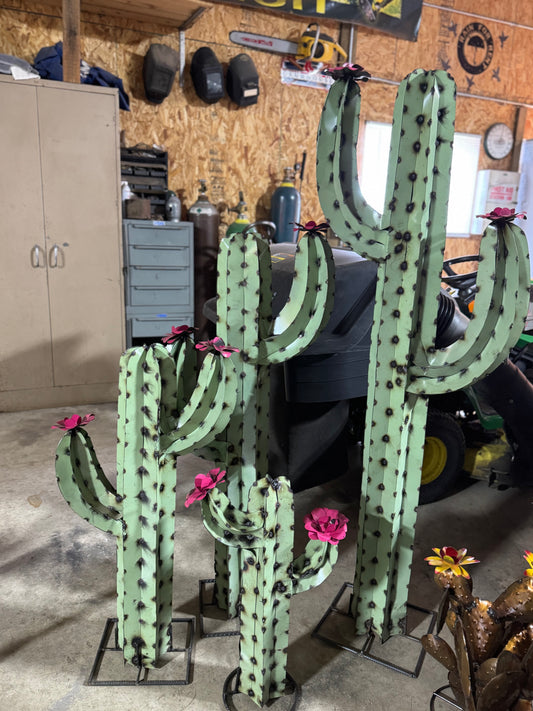 Sage Cactus