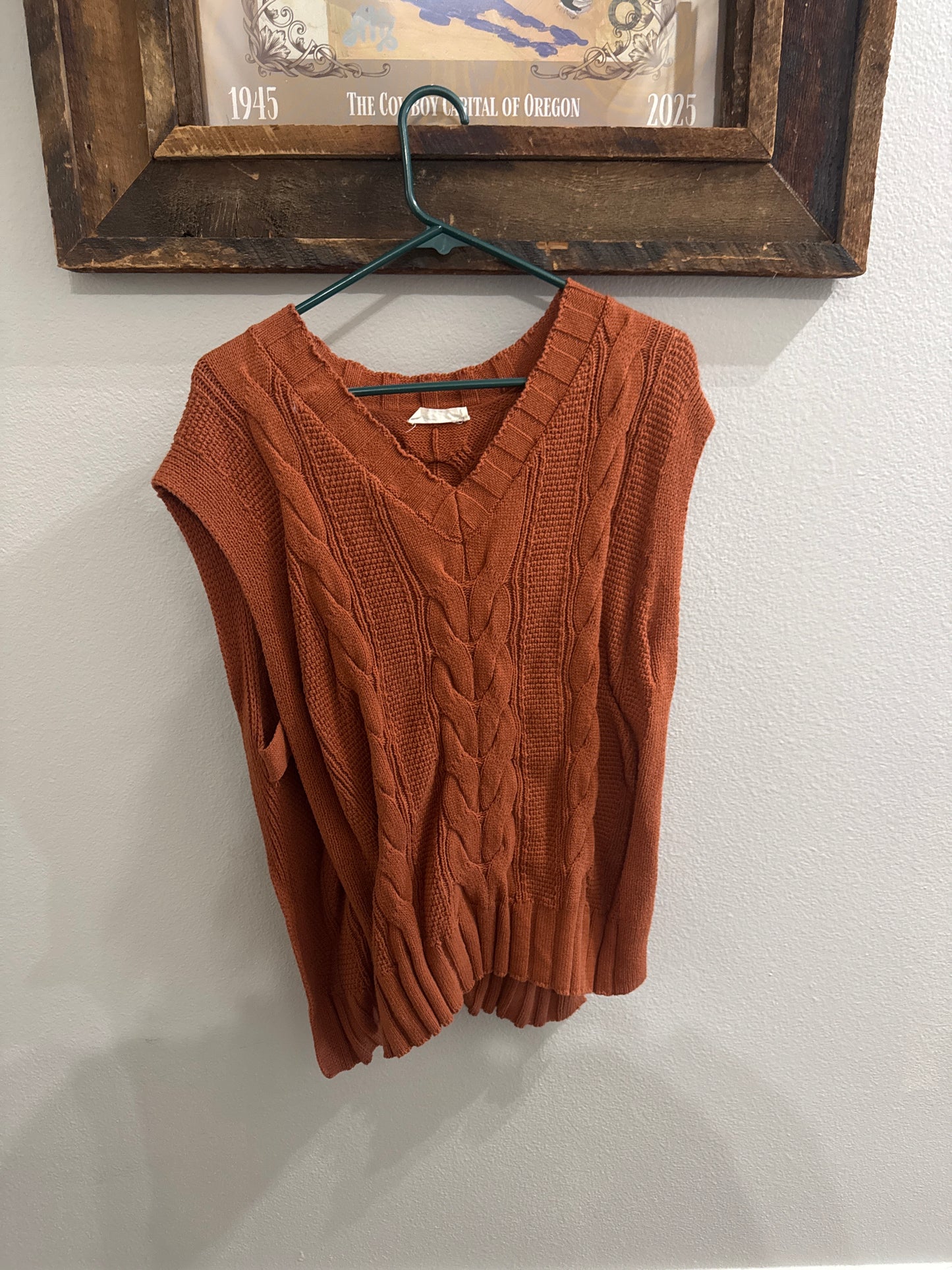 Sweater vest (large)