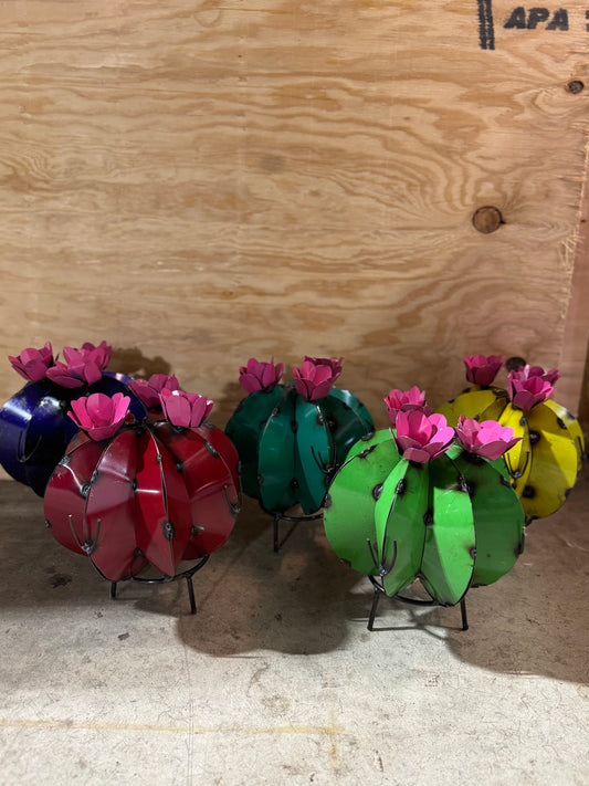 Plump cacti