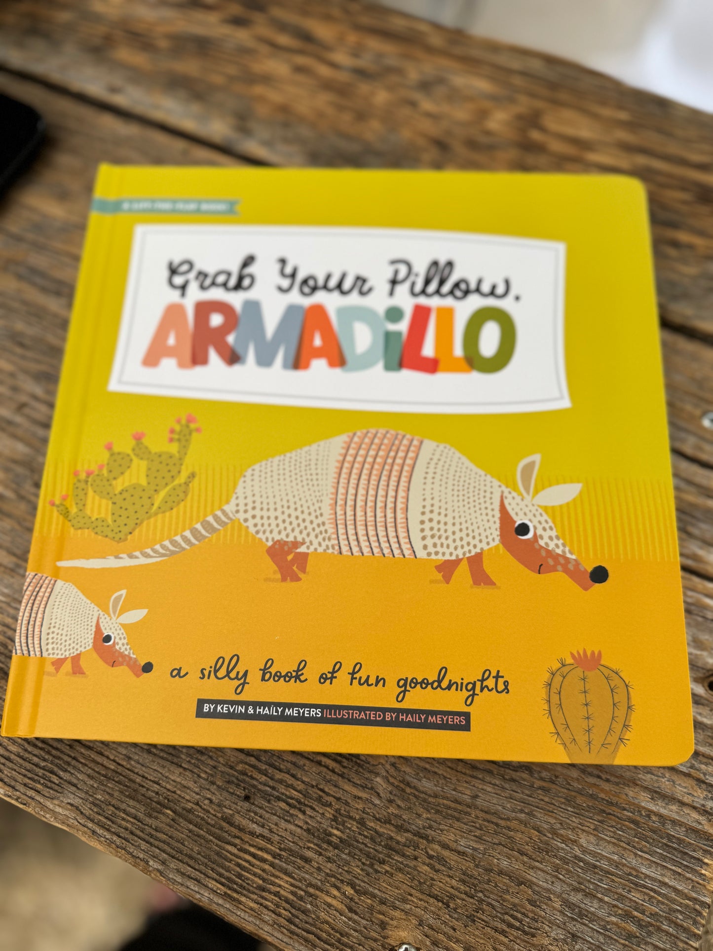 Grab a Pillow Armadillo