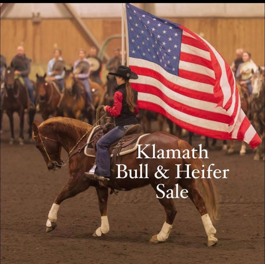 Kalamath Falls Bull & Heifer Sale
