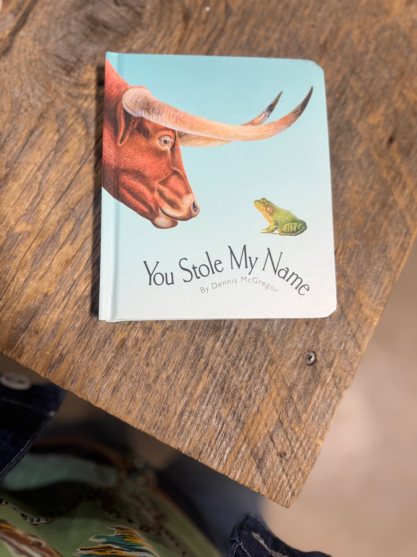 You Stole My Name Book