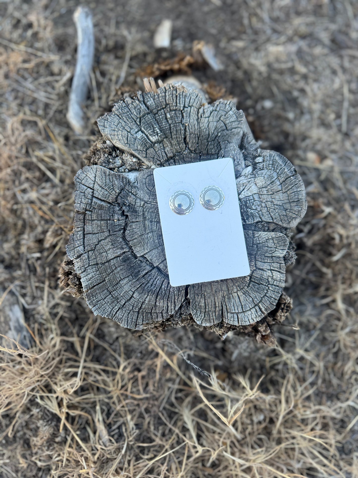 Concho Stud Earrings